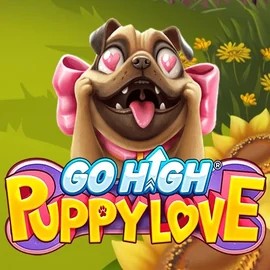 Go High Puppy Love by RubyPlay, showcased at casinoscored.org – game logo