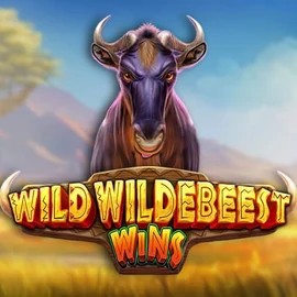 Play Wild Wildebeest Wins slot by Pragmatic Play on casinoscored.org